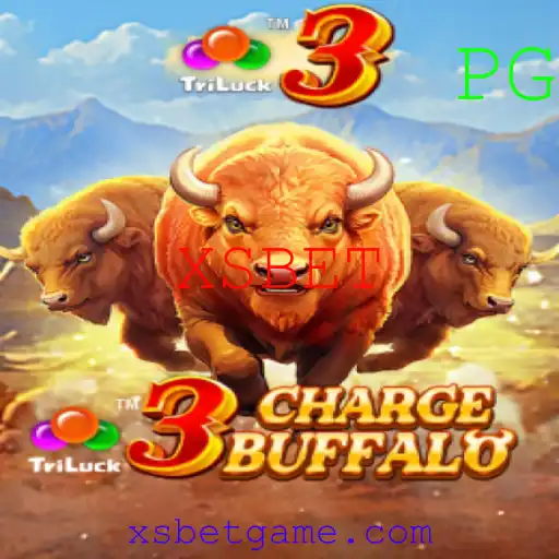 XSBET Casino App