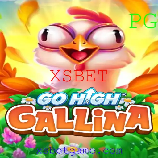 XSBET Casino App