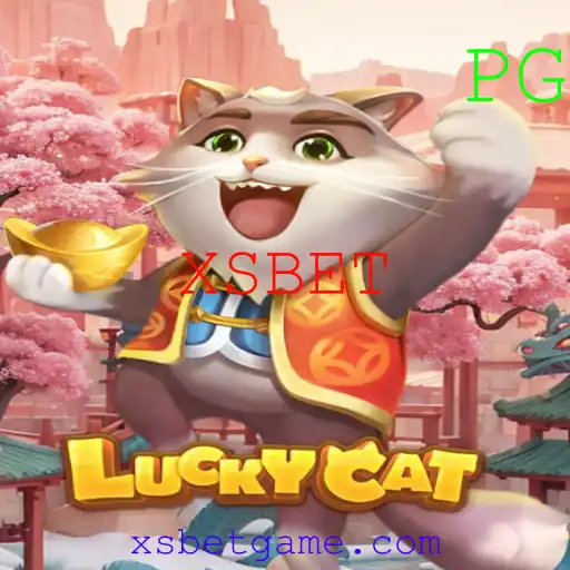 XSBET Exclusivo