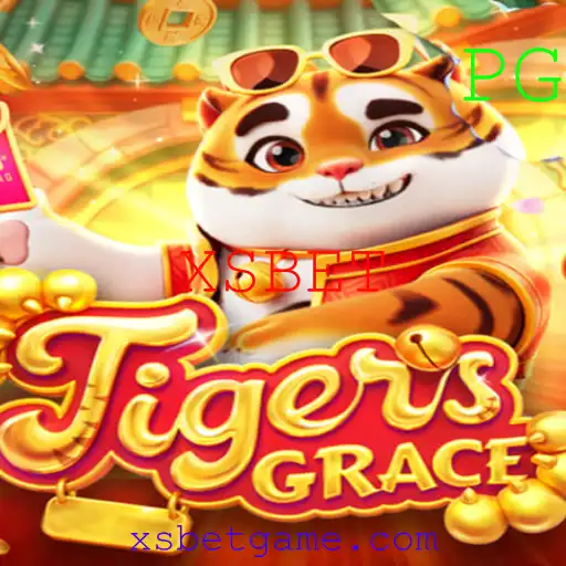 XSBET Casino App