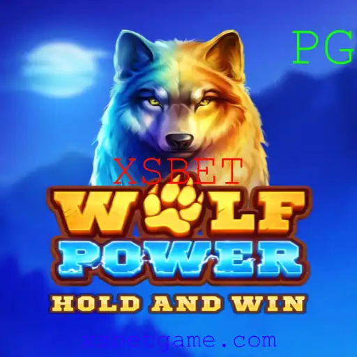 XSBET Casino App
